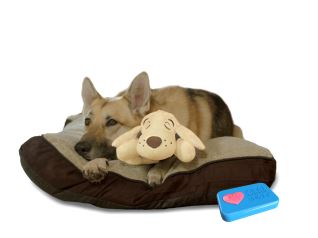 HUGGIE PUP
